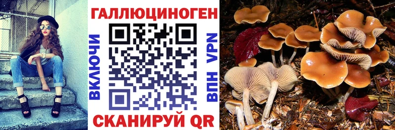 Галлюциногенные грибы MAGIC MUSHROOMS Сочи