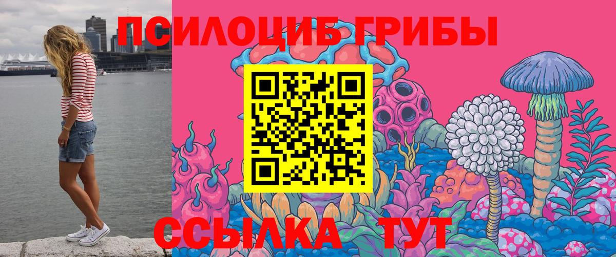 Псилоцибиновые грибы Psilocybine cubensis Сочи