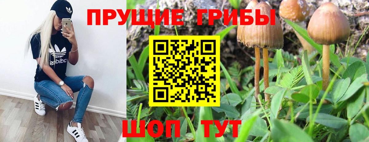 Сочи  Галлюциногенные грибы мухоморы  Вход с VPN 